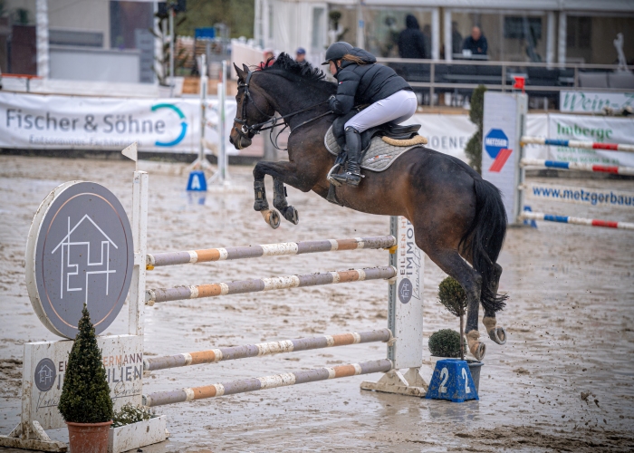 Anna Jolie Figge