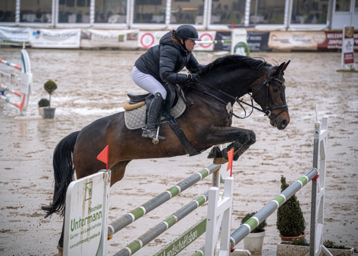 Anna Jolie Figge
