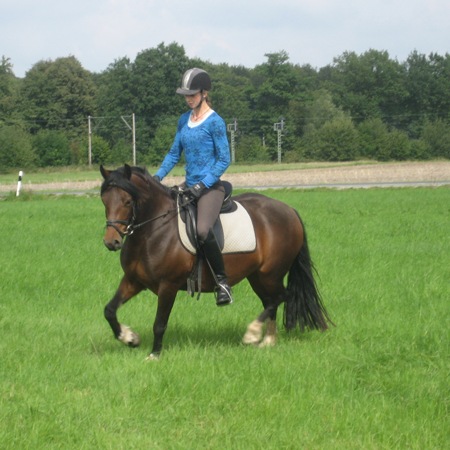 Little Luck Girlie Sue