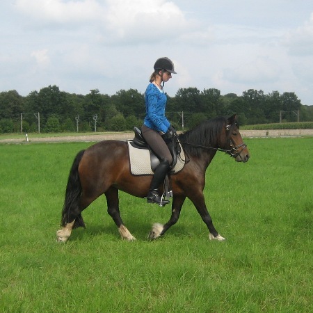 Little Luck Girlie Sue