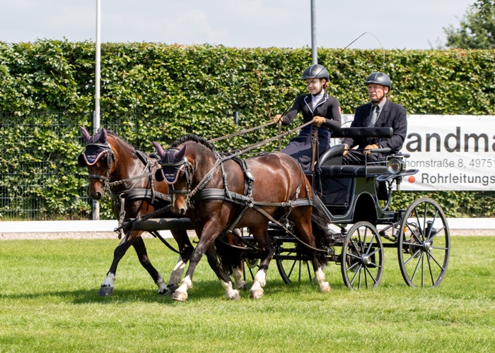 Welsh C - Alina Sophie Figge