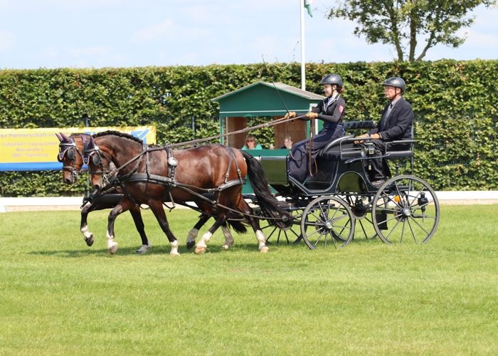 Welsh C - Alina Sophie Figge