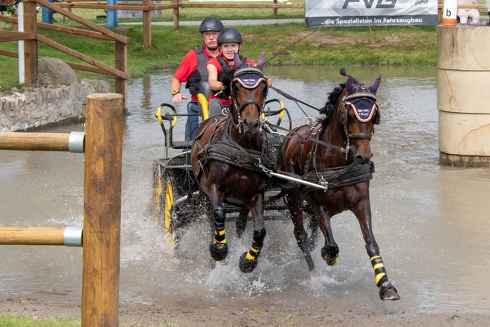Welsh C - Alina Sophie Figge