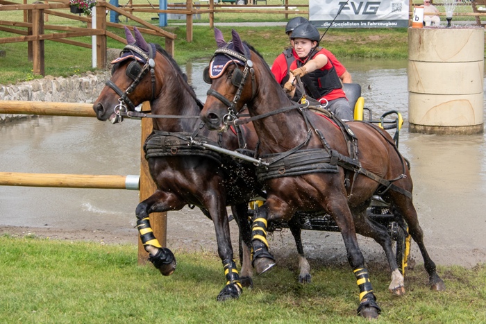 Welsh C - Alina Sophie Figge