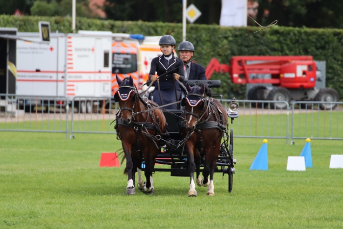 Welsh C - Alina Sophie Figge