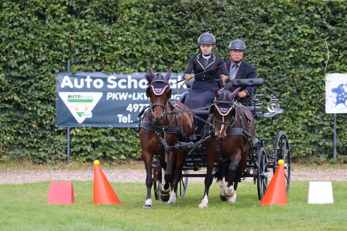 Welsh C - Alina Sophie Figge