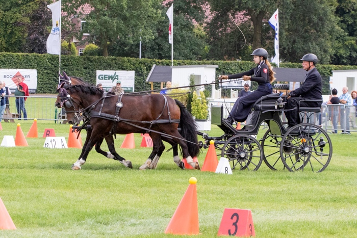Welsh C - Alina Sophie Figge