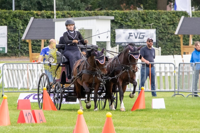 Welsh C - Alina Sophie Figge