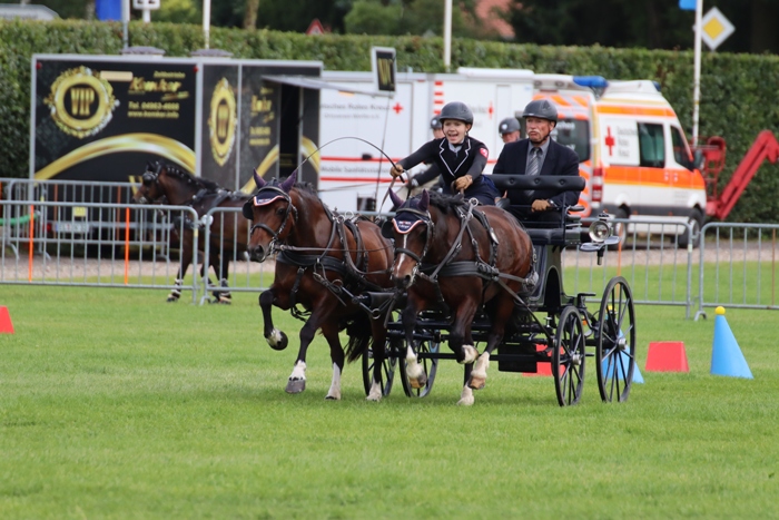 Welsh C - Alina Sophie Figge