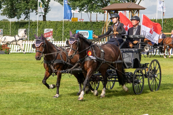 Welsh C - Alina Sophie Figge